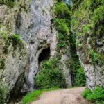 Pereții impresionanți ai Cheilor Zărneștiului, un defileu accesibil în Piatra Craiului.