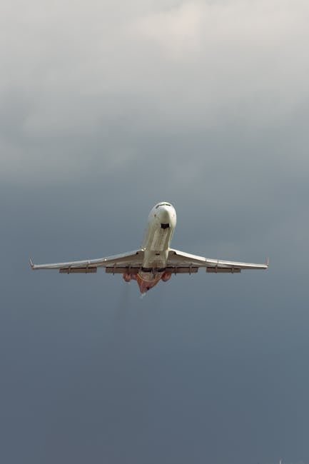 pexels_16161493_4d57195568