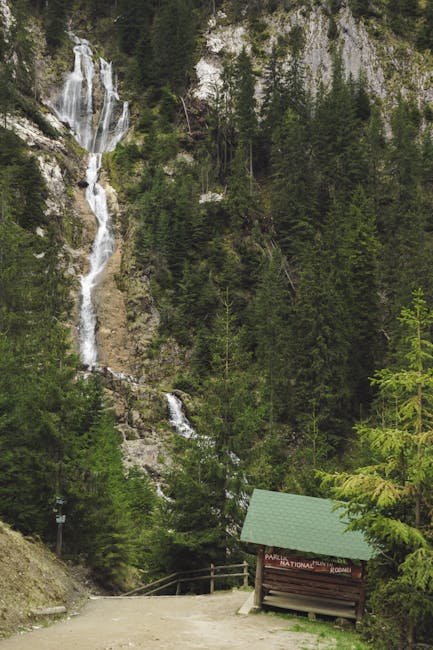 pexels_23354577_2bf7531bee