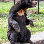 pexels_34234779_4e21c70053