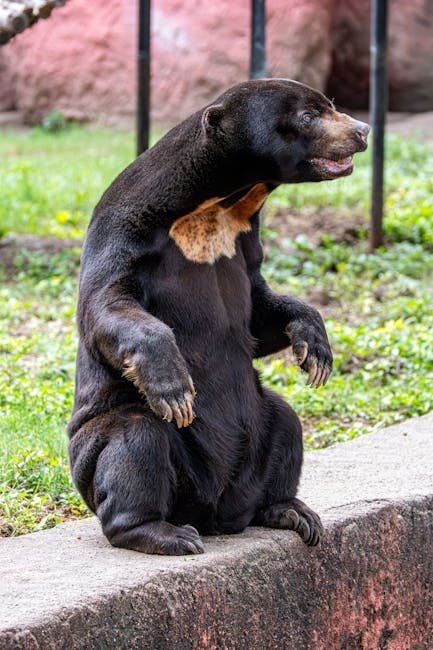 pexels_34234779_4e21c70053